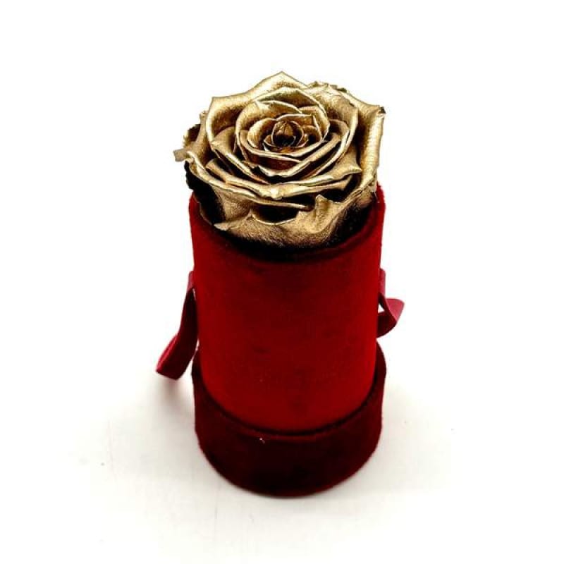 Étoile Dorée Red